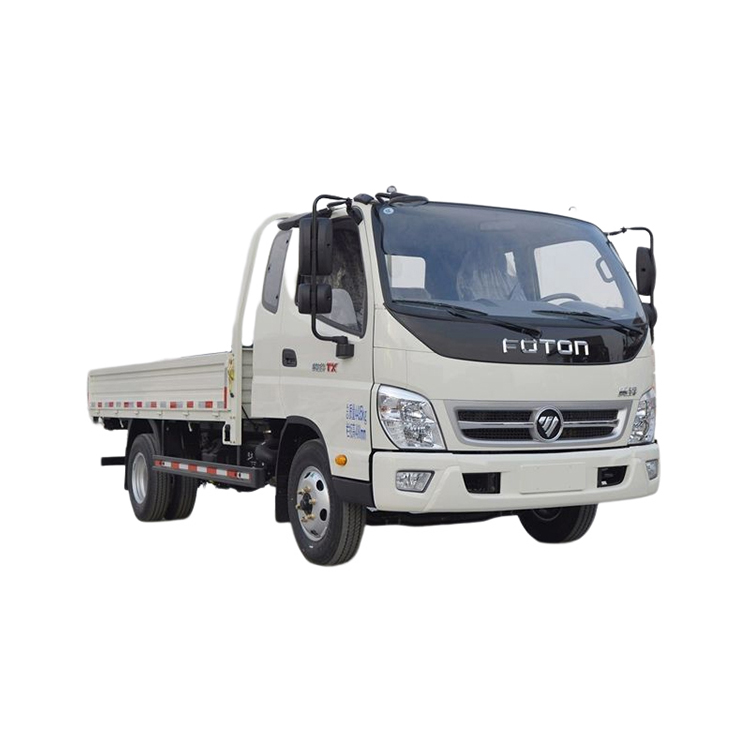 FOTON LIGHT CARGO TRUCK